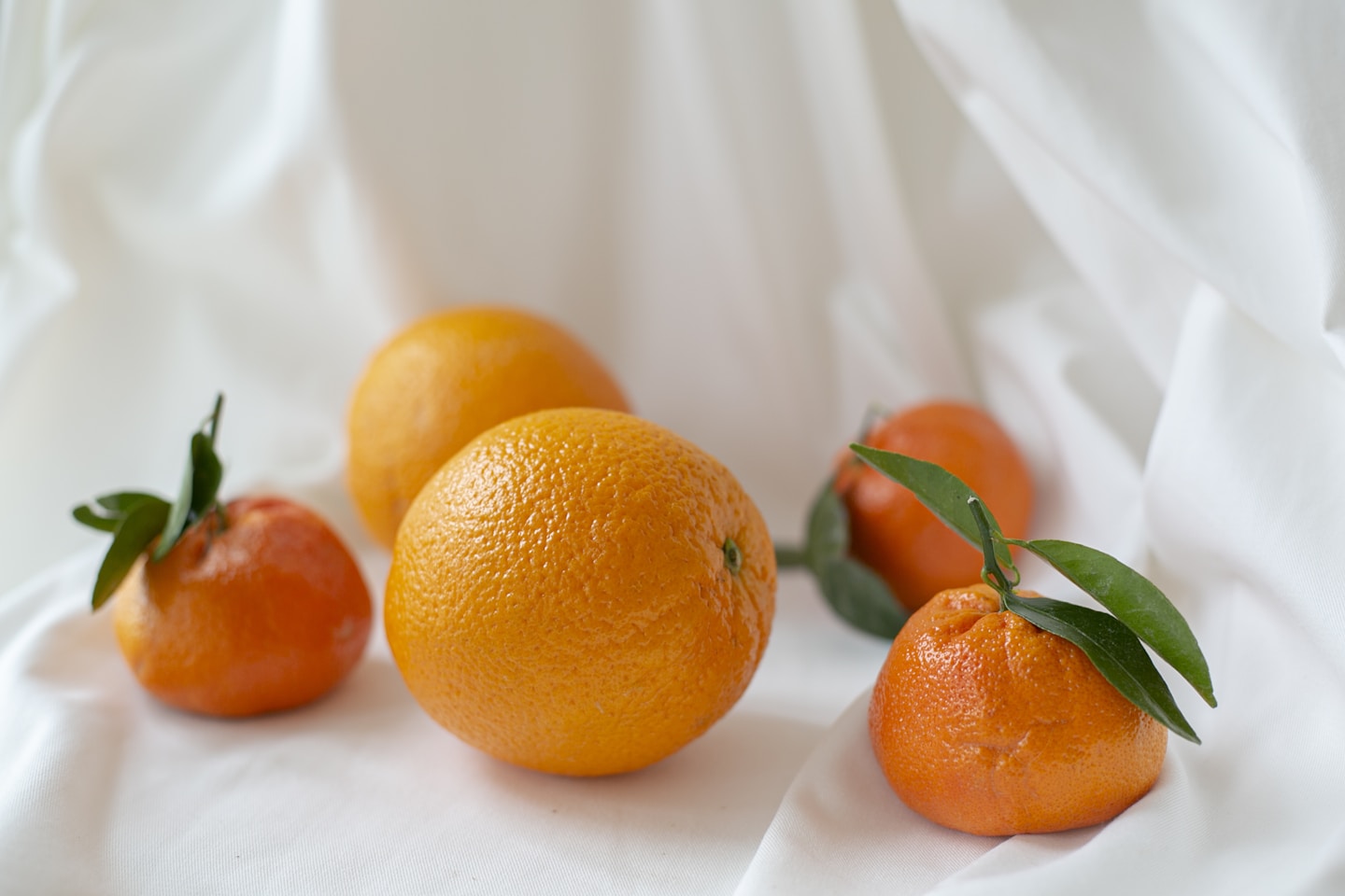 clementines naturmort